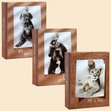 Pioneer 4R200 Lovely animal